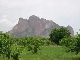 IMG 20251007 WA0137